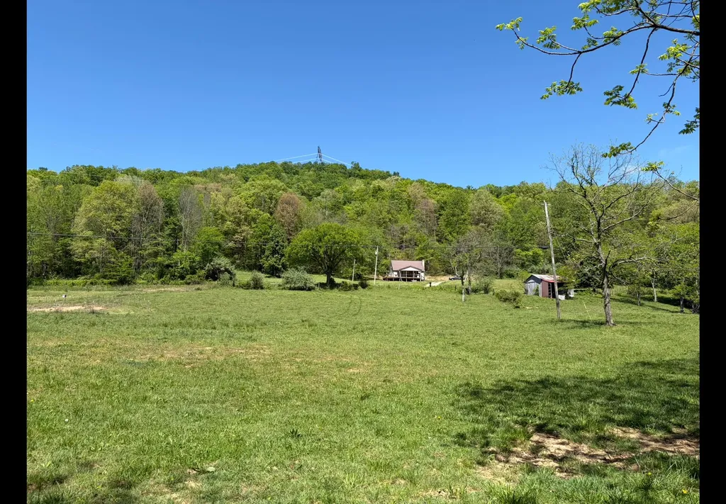 1568 Quicks Run Road Vanceburg KY 41179