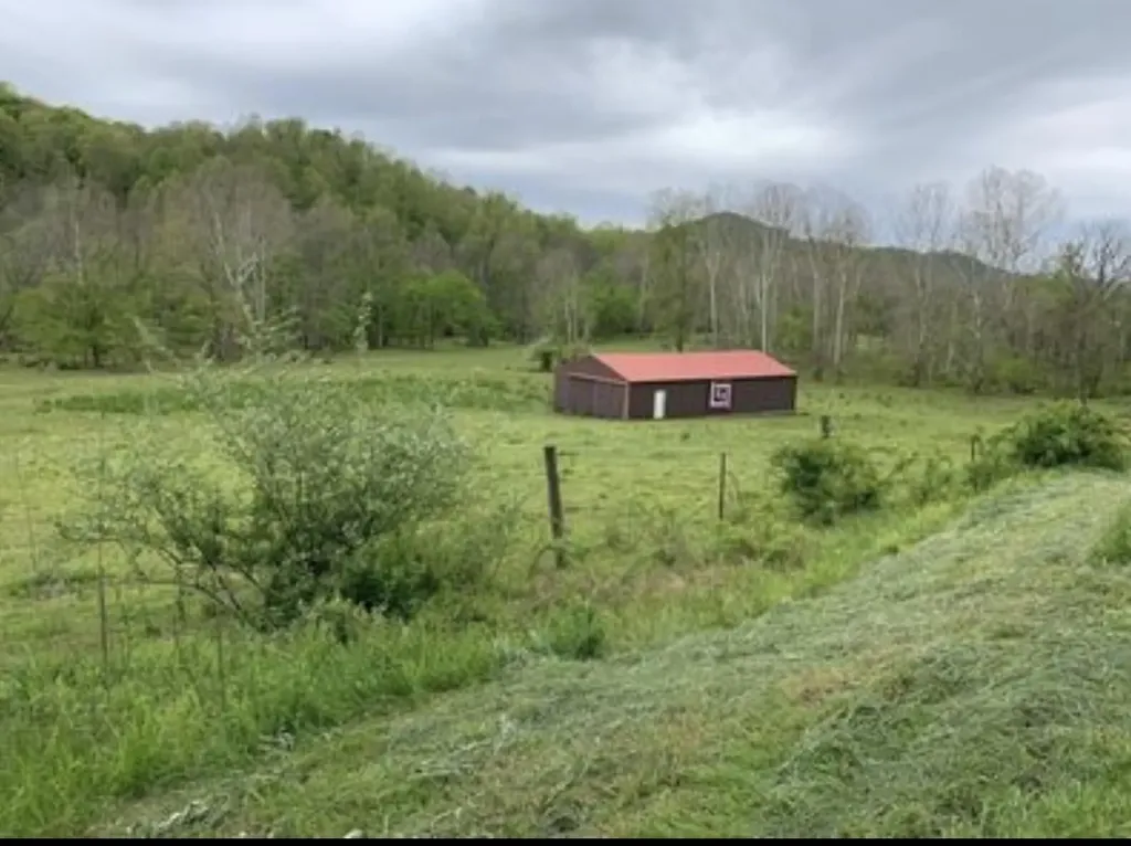 1568 Quicks Run Road Vanceburg KY 41179