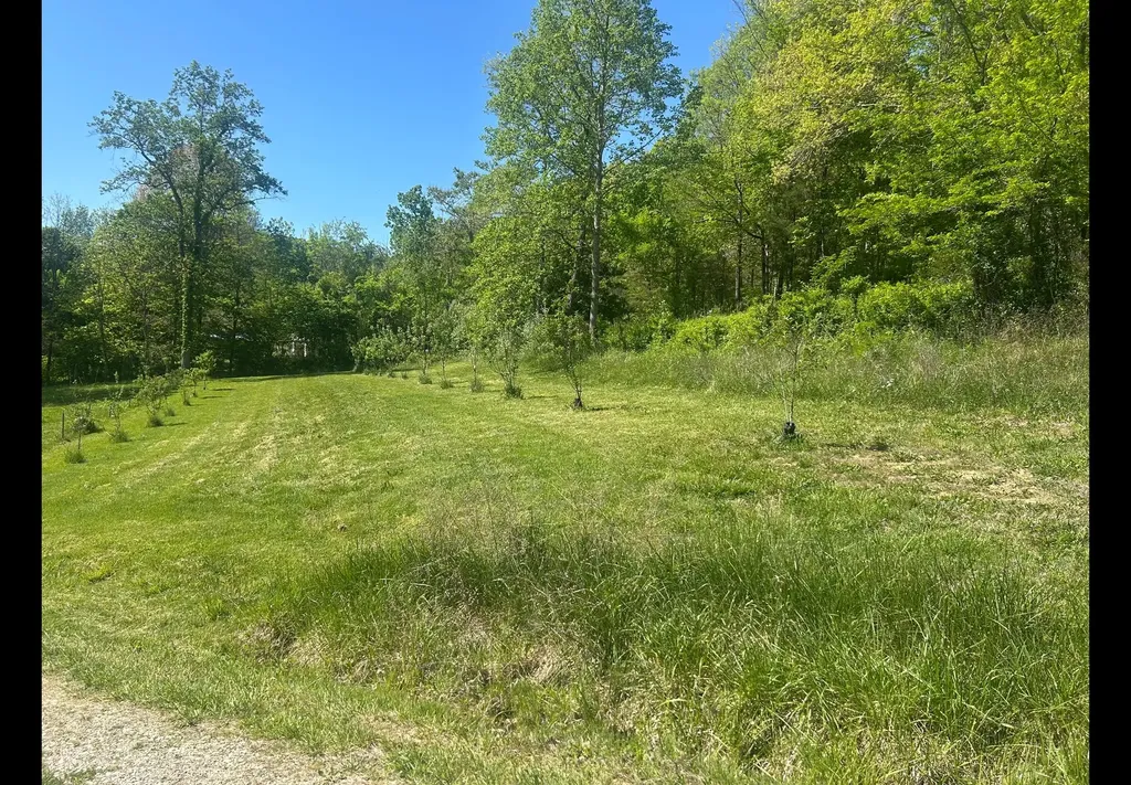 1568 Quicks Run Road Vanceburg KY 41179