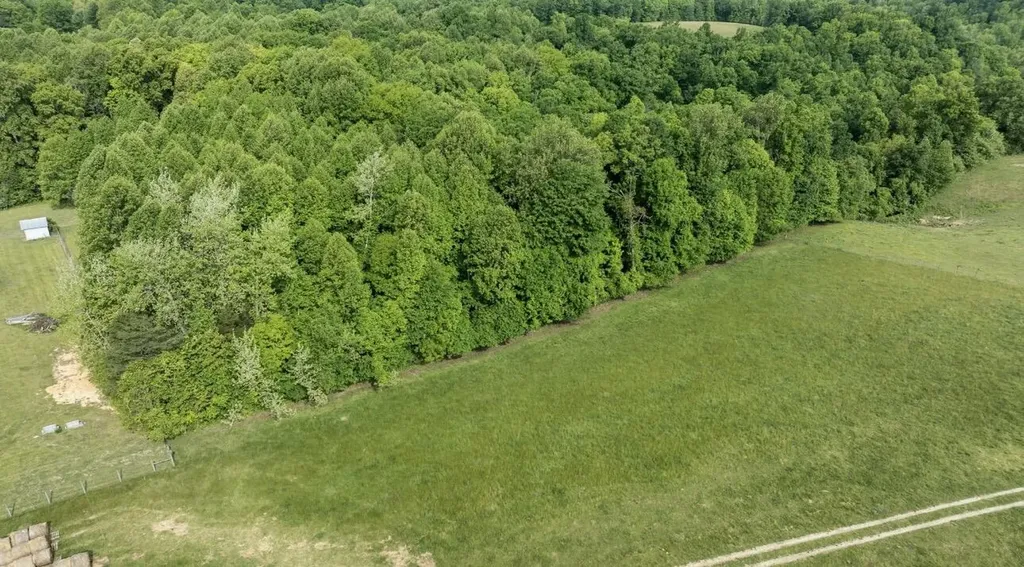 88 Bryant Lane Brodhead KY 40409
