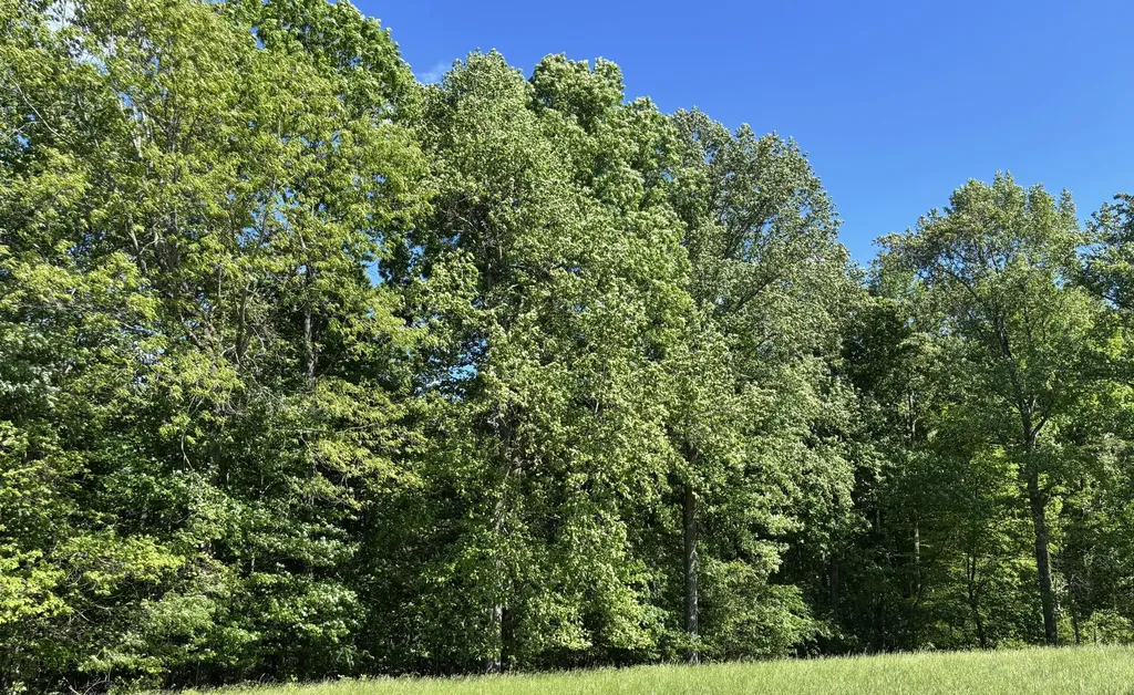 88 Bryant Lane Brodhead KY 40409