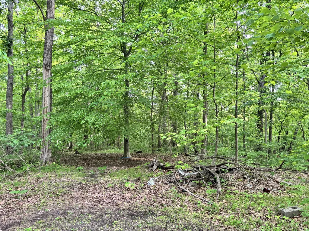 88 Bryant Lane Brodhead KY 40409