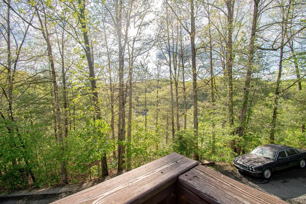 129 Douglas Hollow Olive Hill KY 41164