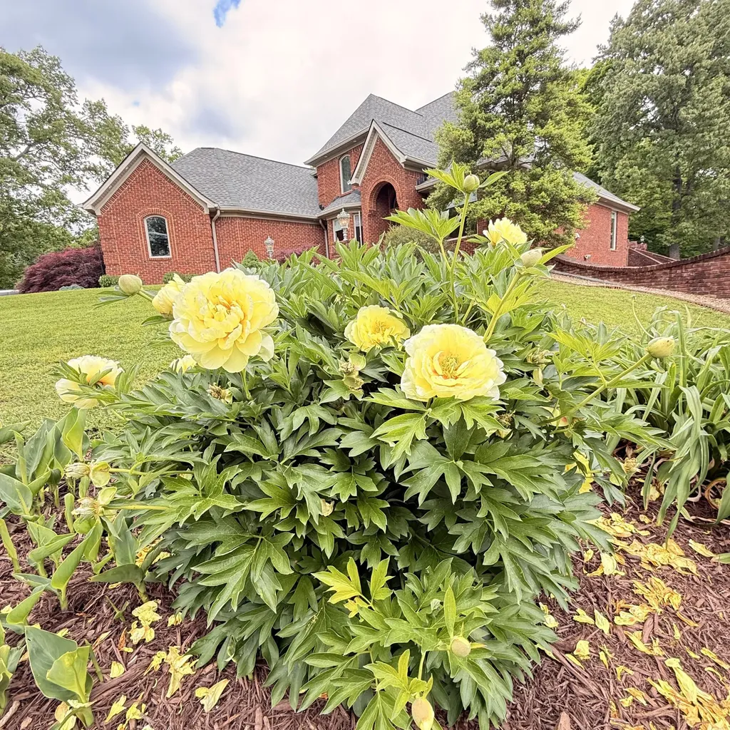 1836 Ferry Road Somerset KY 42503