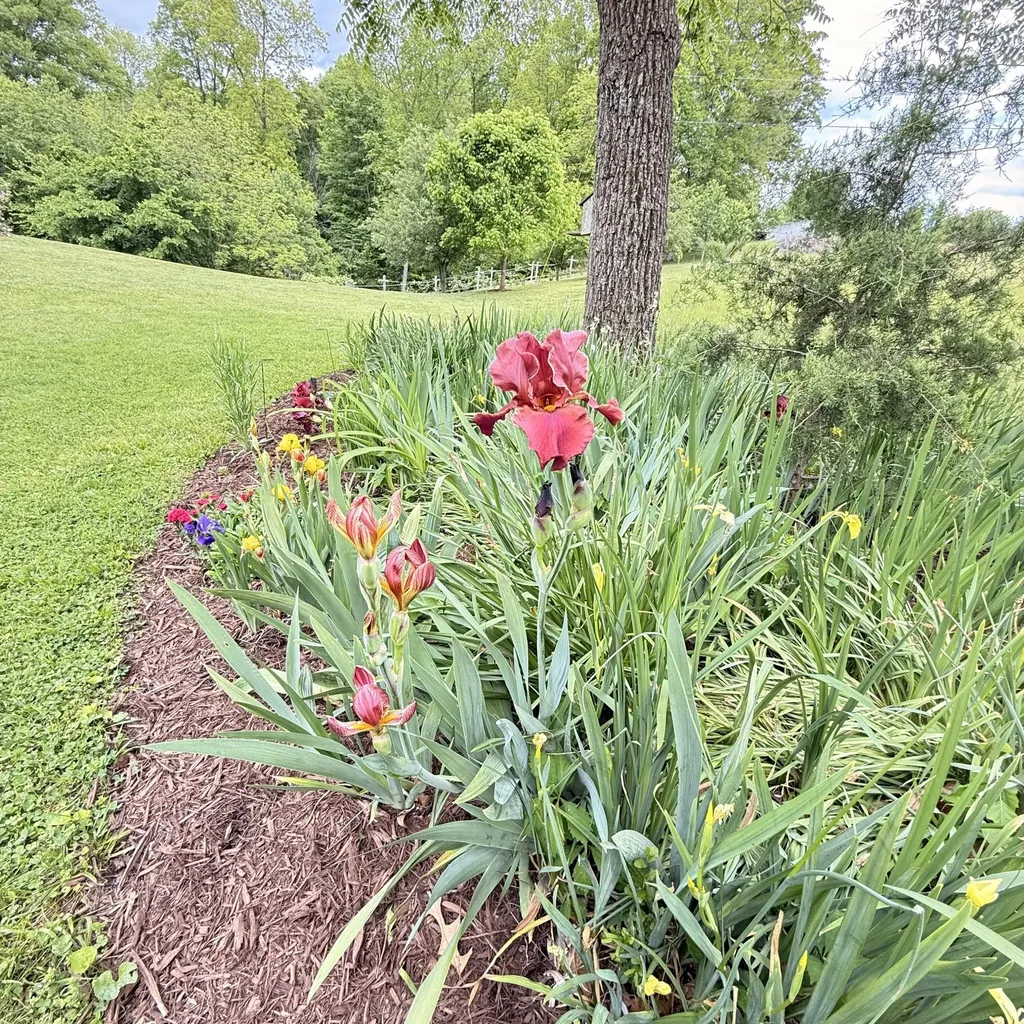 1836 Ferry Road Somerset KY 42503
