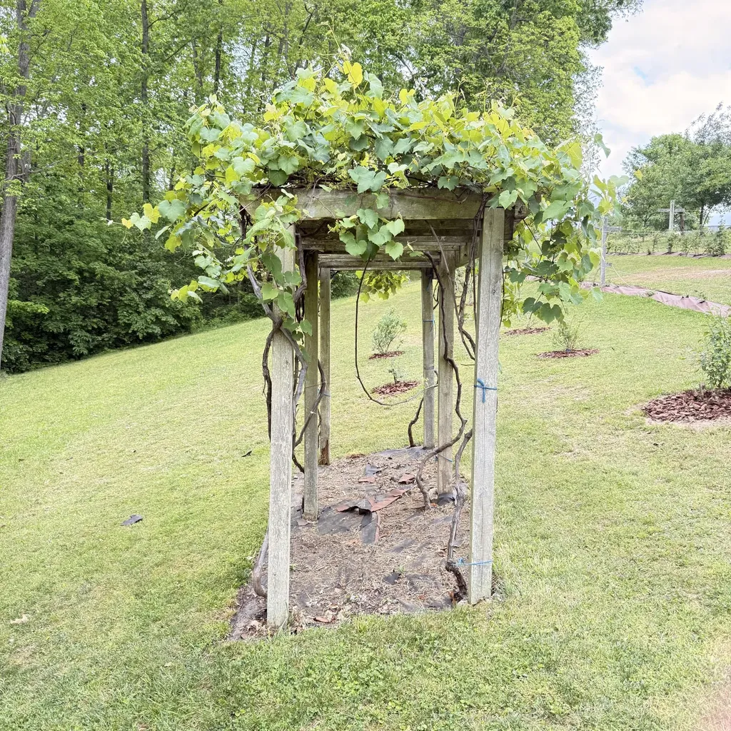 1836 Ferry Road Somerset KY 42503