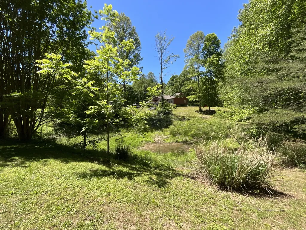 56 Tim Morgan Road Whitley City KY 42653