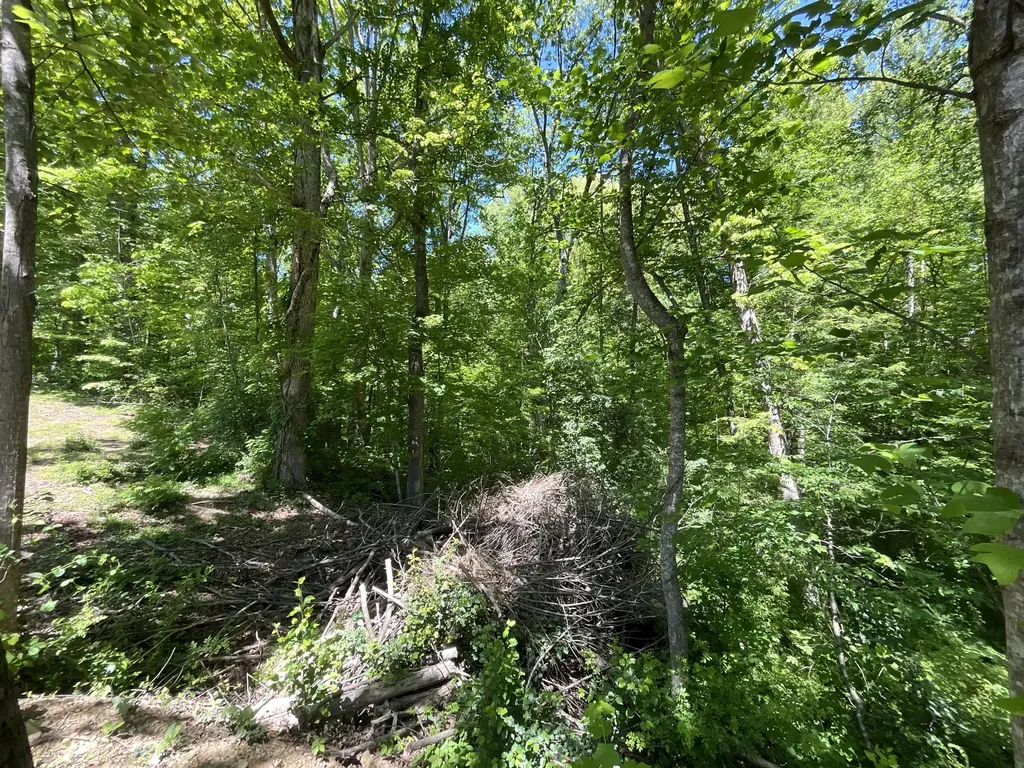 56 Tim Morgan Road Whitley City KY 42653