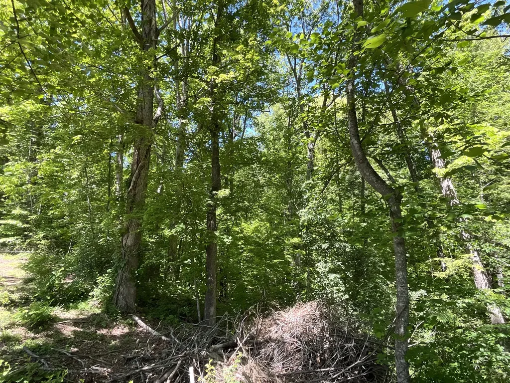 56 Tim Morgan Road Whitley City KY 42653