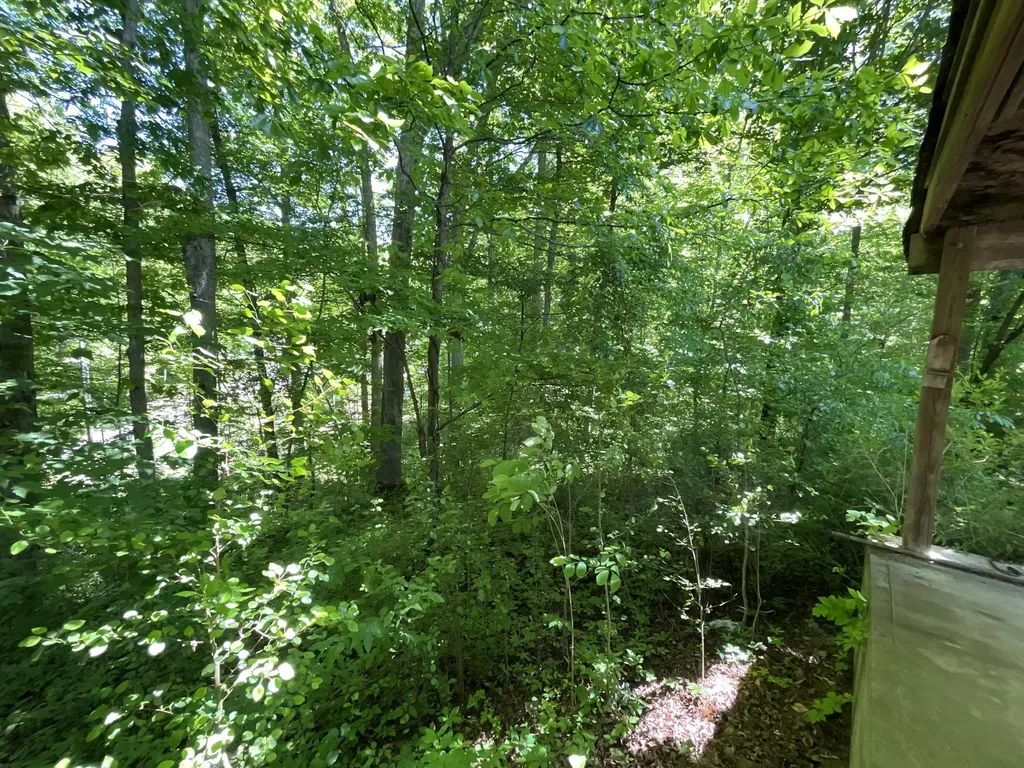 56 Tim Morgan Road Whitley City KY 42653