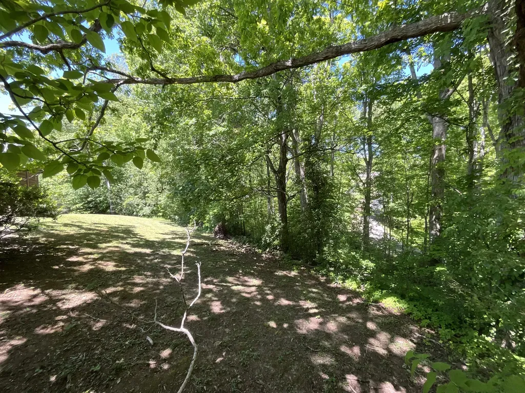 56 Tim Morgan Road Whitley City KY 42653