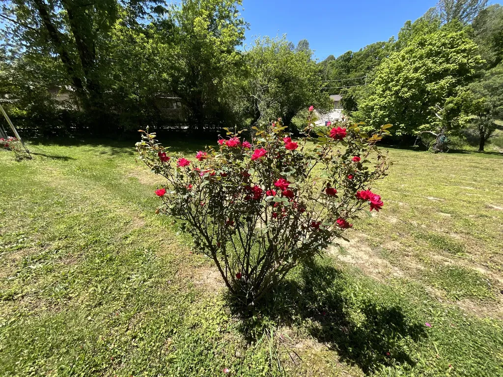 56 Tim Morgan Road Whitley City KY 42653