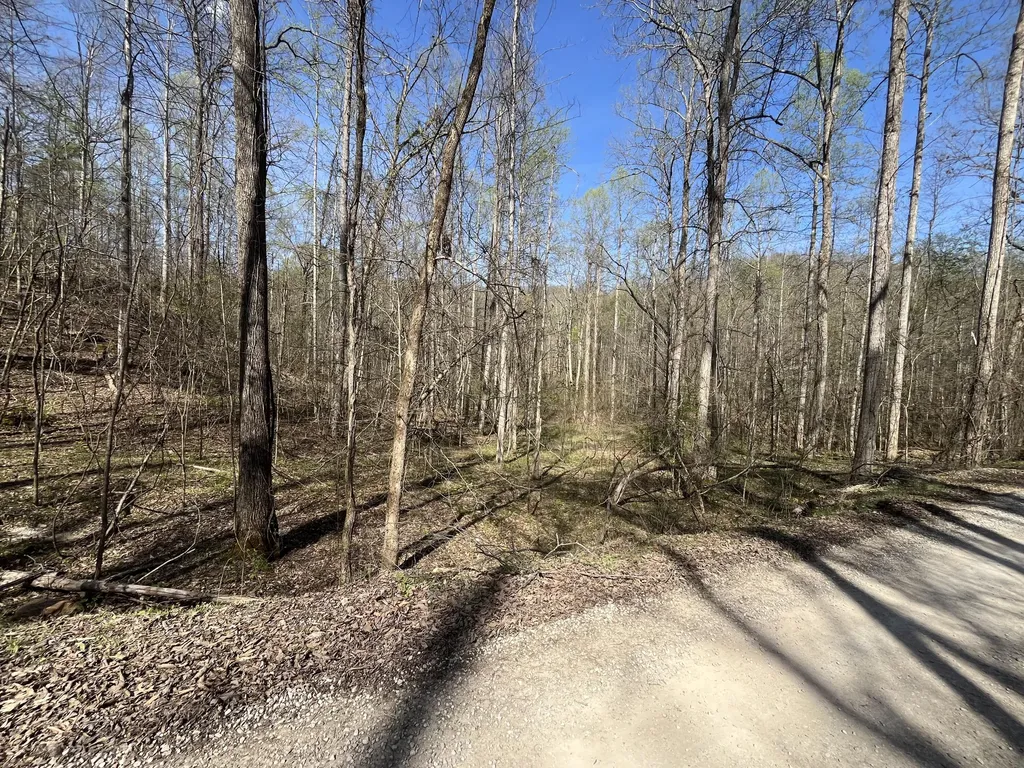 Lot Mountain Springs Cem Road Ravenna KY 40472