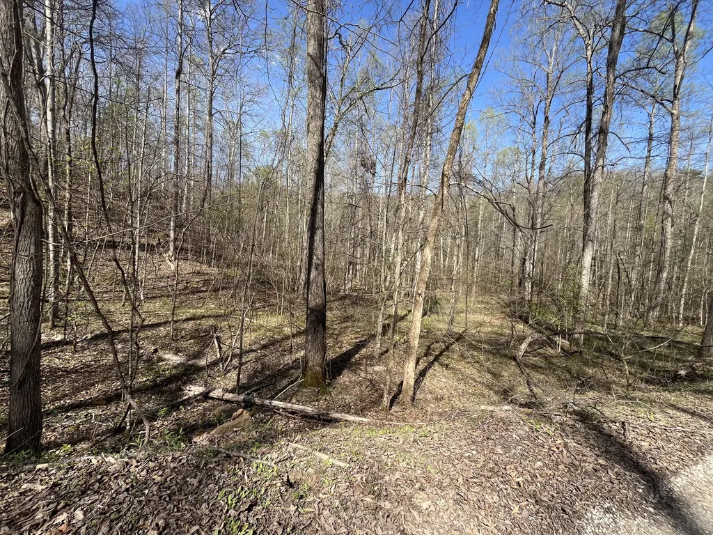 Lot Mountain Springs Cem Road Ravenna KY 40472