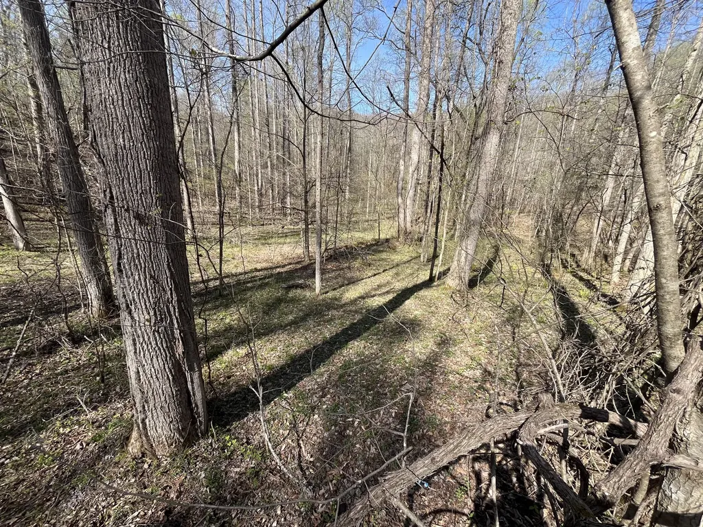 Lot Mountain Springs Cem Road Ravenna KY 40472