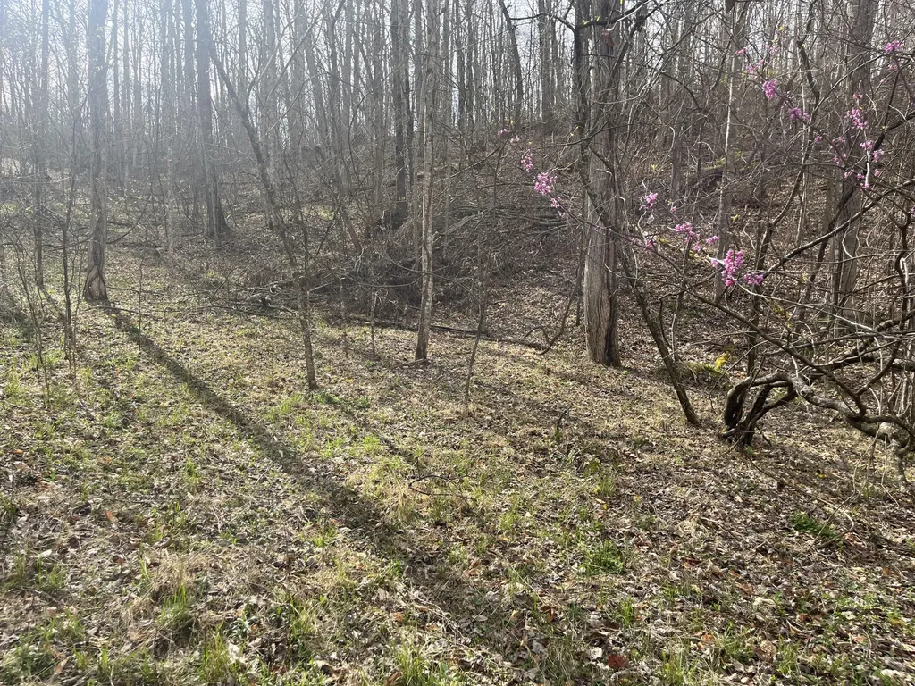 Lot Mountain Springs Cem Road Ravenna KY 40472