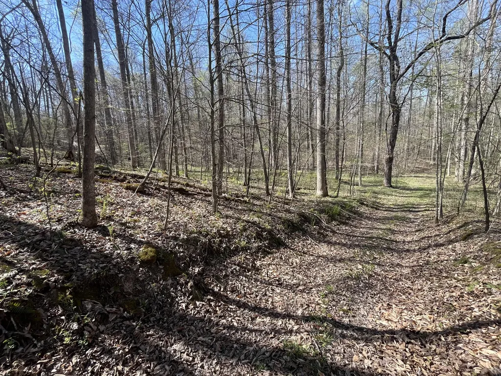 Lot Mountain Springs Cem Road Ravenna KY 40472