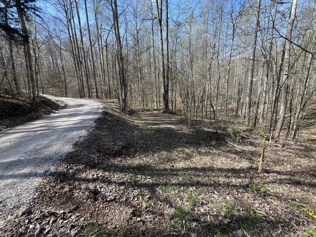 Lot Mountain Springs Cem Road Ravenna KY 40472