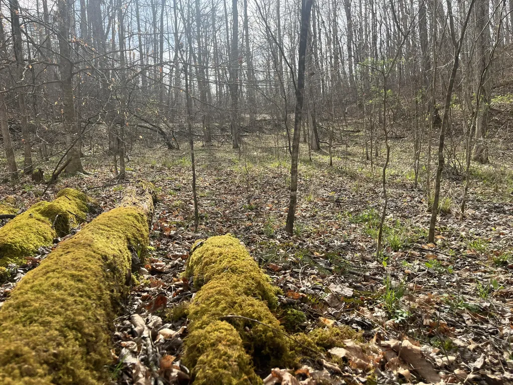 Lot Mountain Springs Cem Road Ravenna KY 40472