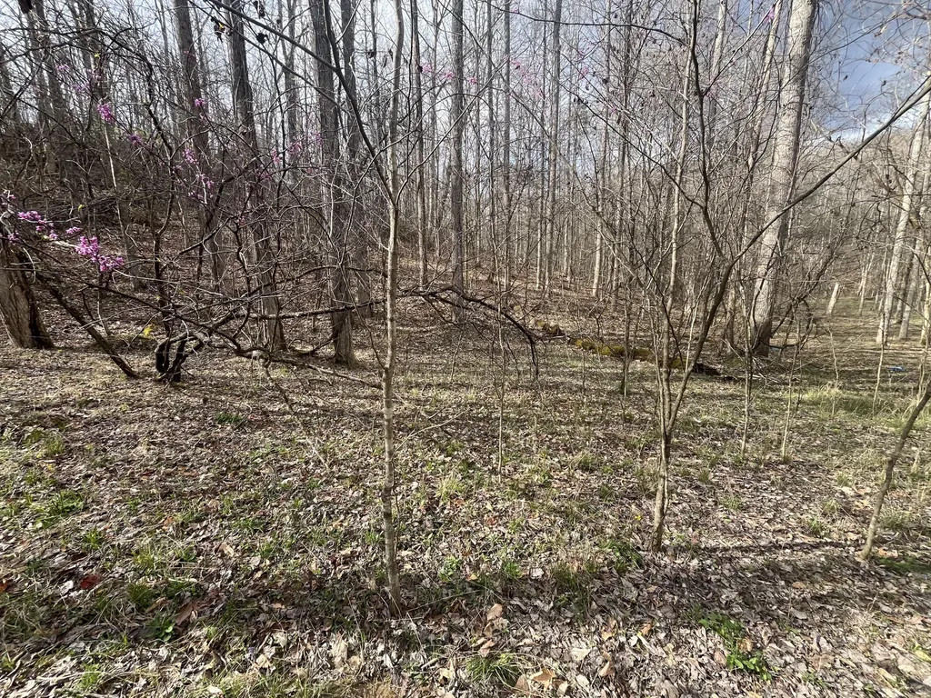 Lot Mountain Springs Cem Road Ravenna KY 40472