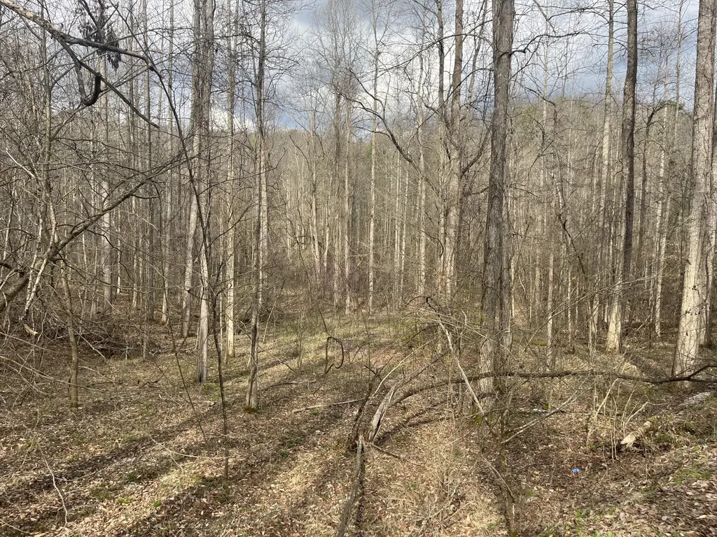 Lot Mountain Springs Cem Road Ravenna KY 40472