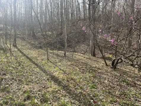 Lot Mountain Springs Cem Road Ravenna KY 40472