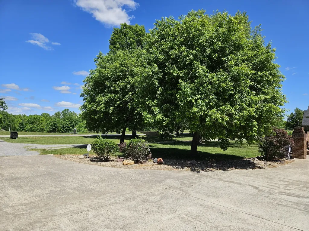 1166 Woodrum Ridge Road Liberty KY 42539