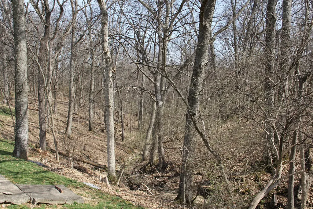 191 Blueridge Drive Frankfort KY 40601