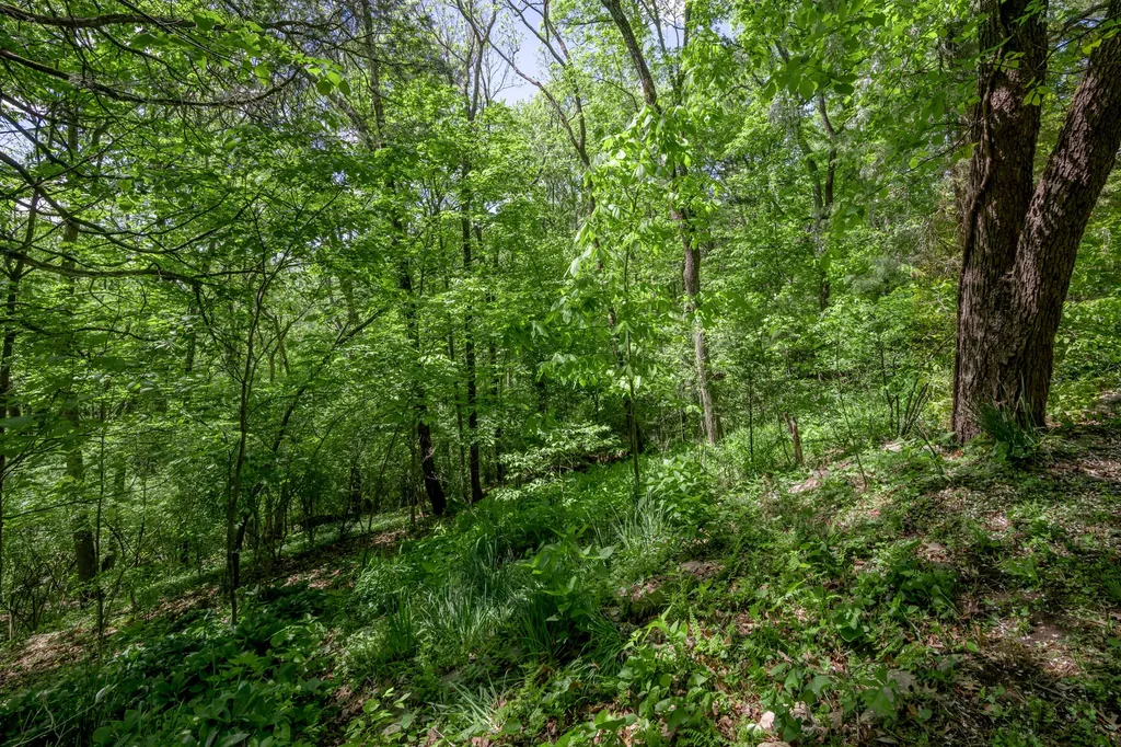 3010 River Circle Drive Richmond KY 40475