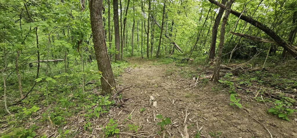 12.38 Acres Windy Way Lane Harrodsburg KY 40330