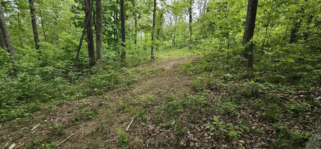 12.38 Acres Windy Way Lane Harrodsburg KY 40330