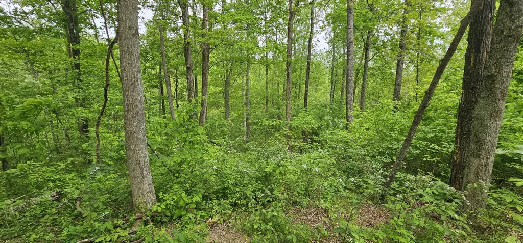 12.38 Acres Windy Way Lane Harrodsburg KY 40330