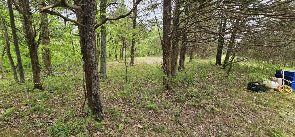12.38 Acres Windy Way Lane Harrodsburg KY 40330