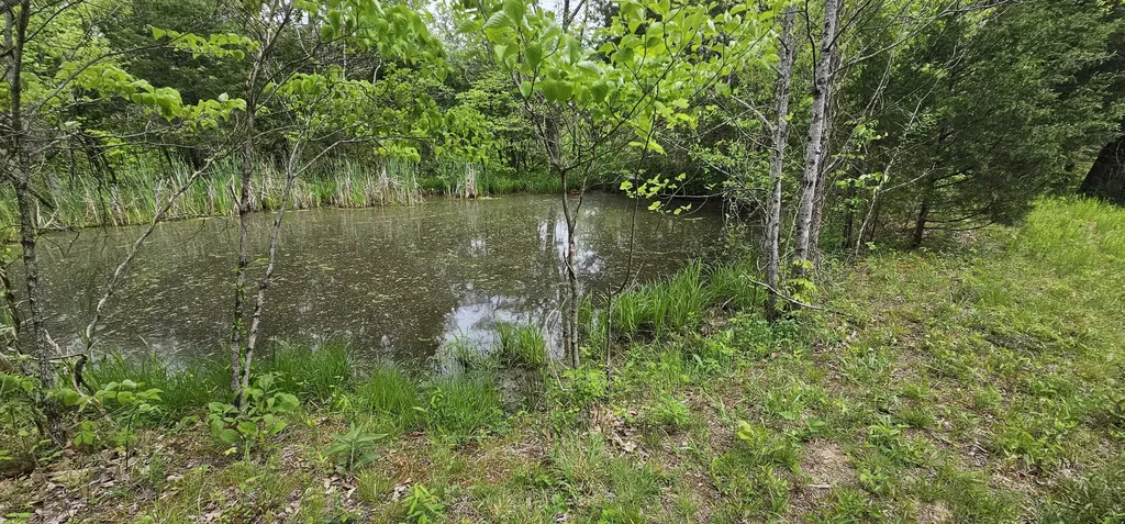 12.38 Acres Windy Way Lane Harrodsburg KY 40330