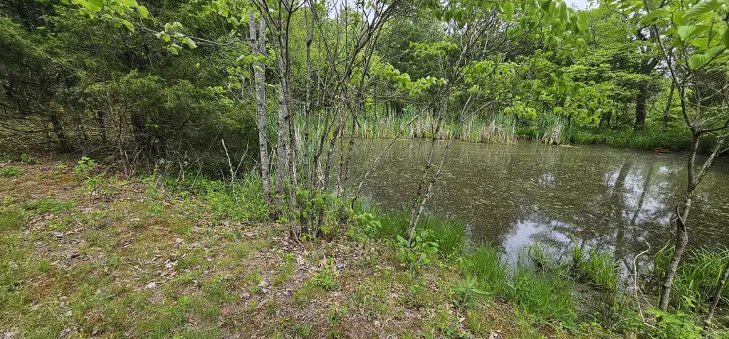 12.38 Acres Windy Way Lane Harrodsburg KY 40330