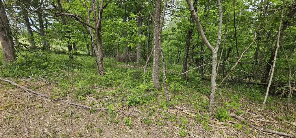 12.38 Acres Windy Way Lane Harrodsburg KY 40330