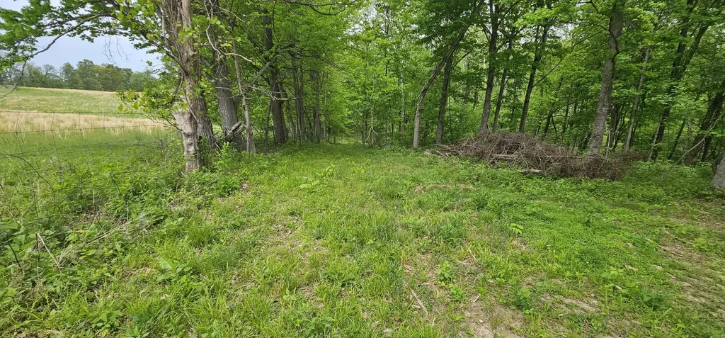 12.38 Acres Windy Way Lane Harrodsburg KY 40330