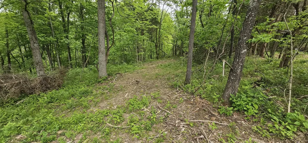 12.38 Acres Windy Way Lane Harrodsburg KY 40330