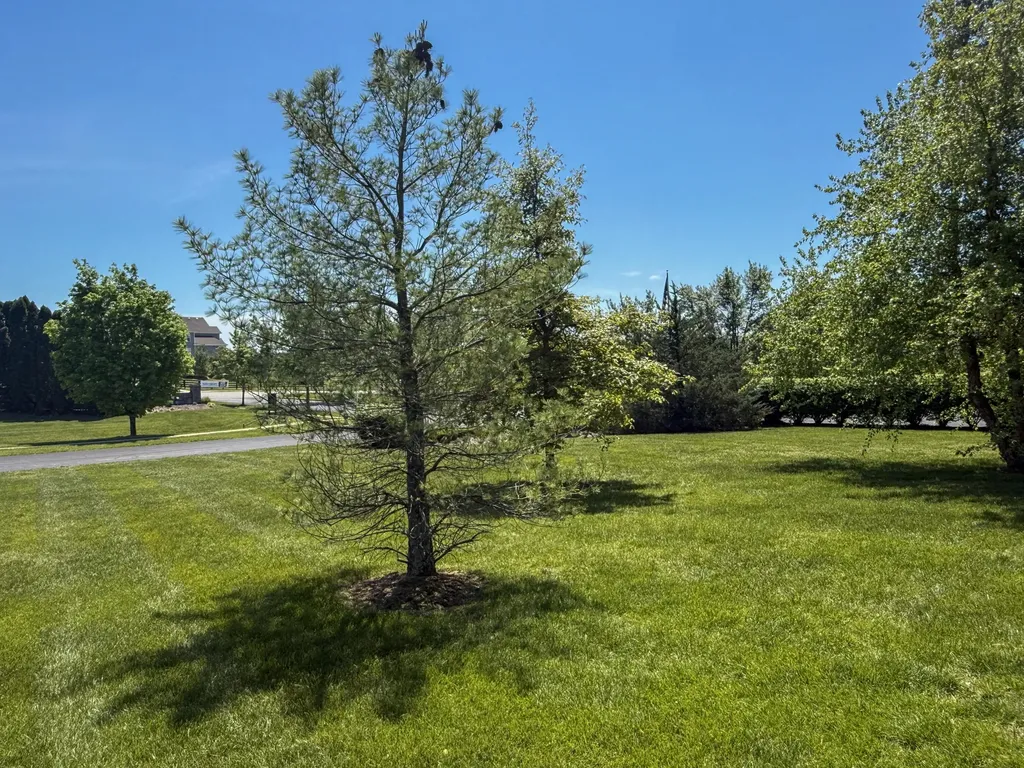 637 Muldoon Drive Lexington KY 40509