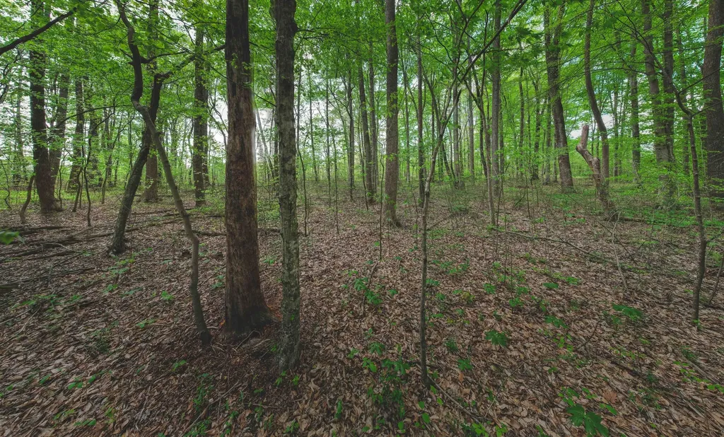 2AC Barry Lane Nancy KY 42544