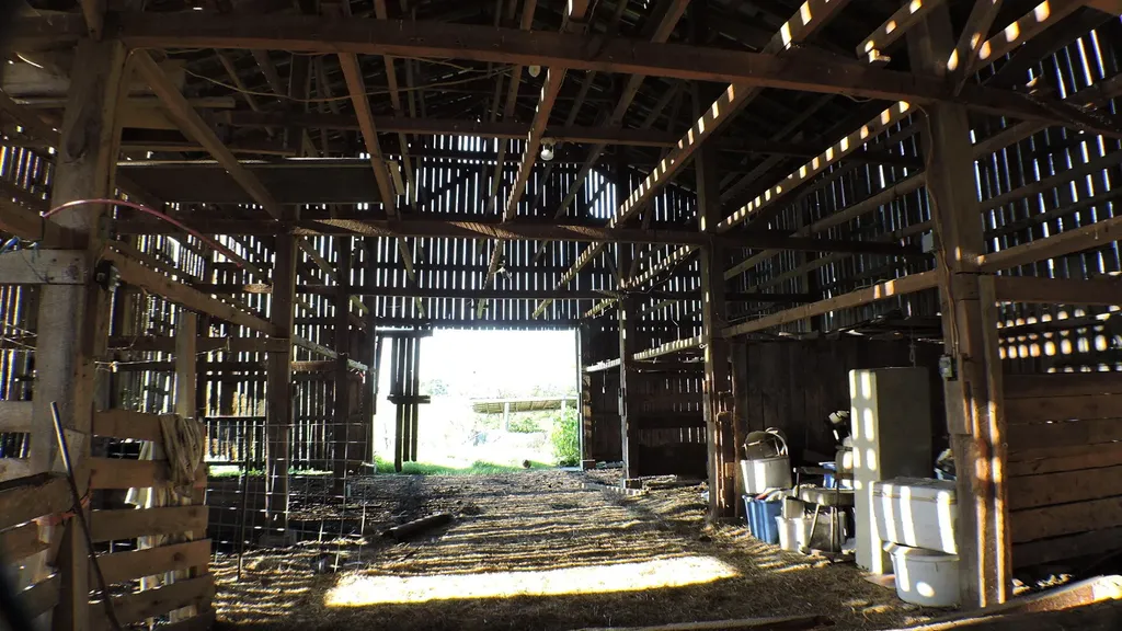 226 Watershed Road Sharpsburg KY 40374