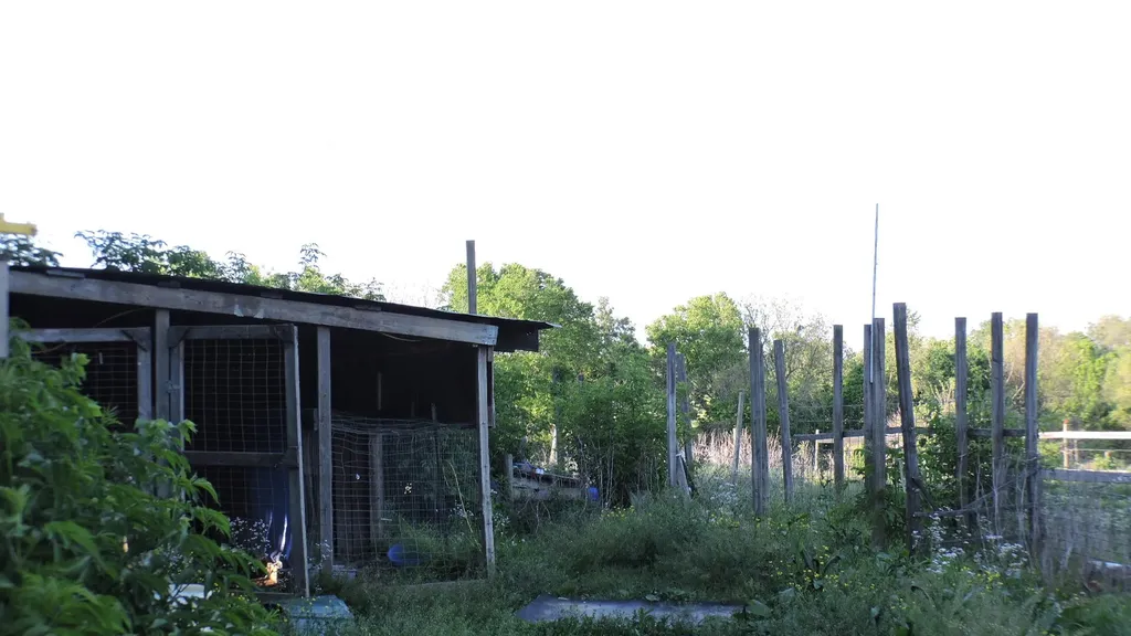 226 Watershed Road Sharpsburg KY 40374