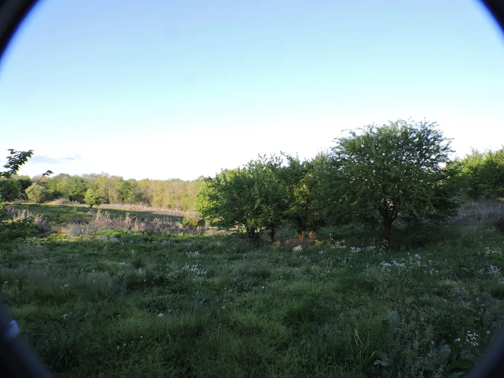 226 Watershed Road Sharpsburg KY 40374