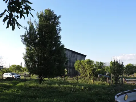 226 Watershed Road Sharpsburg KY 40374