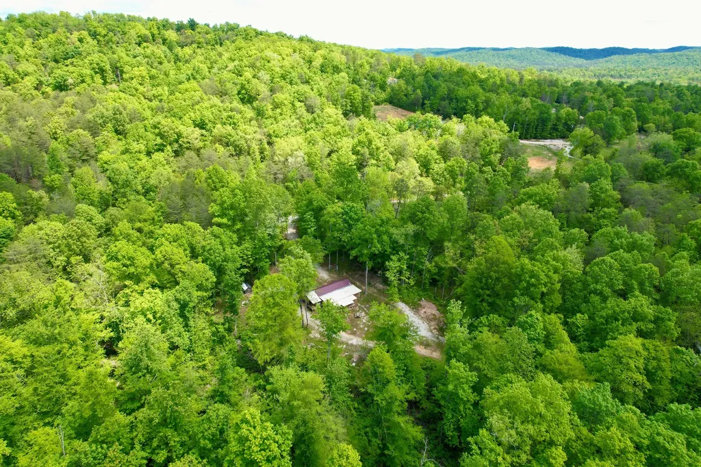 217 Ralph Troxell Road Monticello KY 42633
