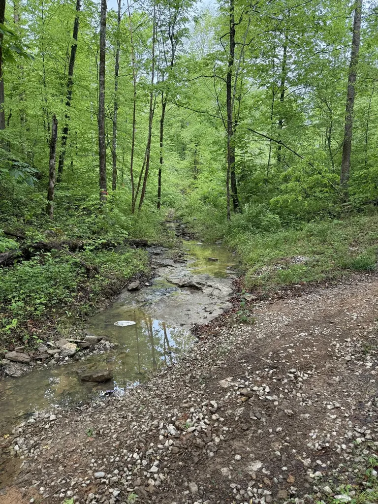 217 Ralph Troxell Road Monticello KY 42633