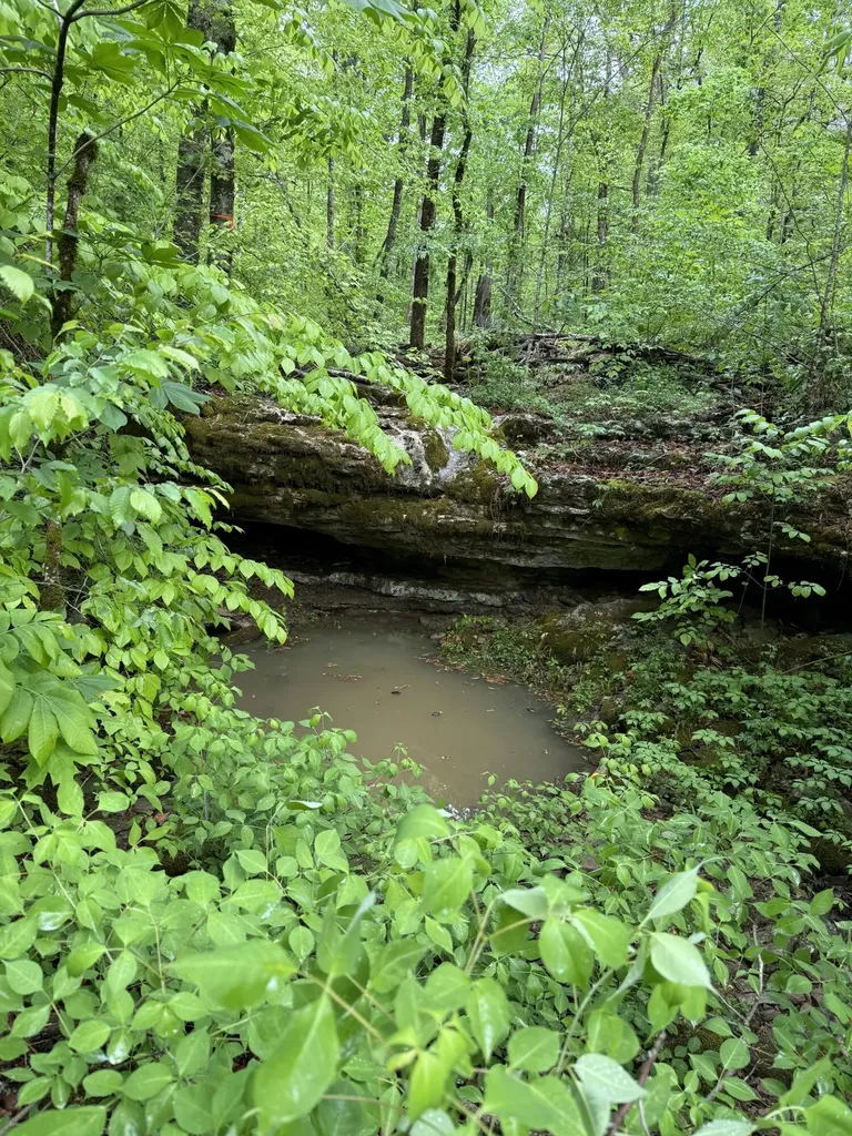 217 Ralph Troxell Road Monticello KY 42633