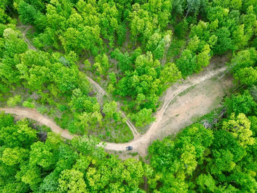 100A Open Fork Road Morehead KY 40351