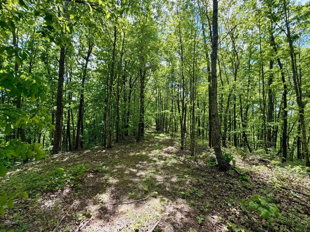 100A Open Fork Road Morehead KY 40351