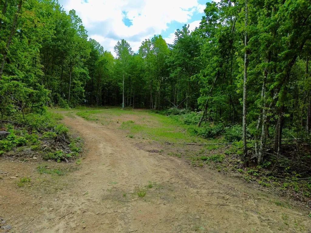 100A Open Fork Road Morehead KY 40351